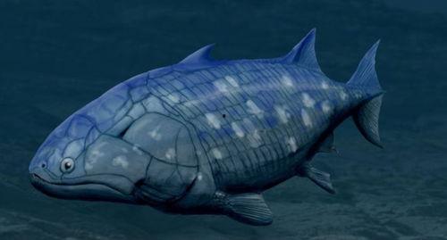 鬼鱼图片,鬼鱼惊悚画卷