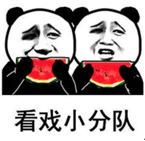 娱乐吃瓜表情图片,笑翻你的表情瞬间