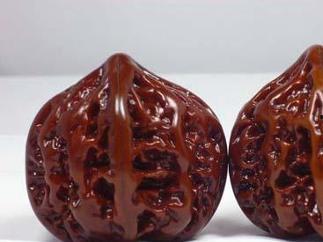 核桃的雌花絮,孕育果实的关键之窗