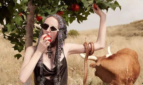 gucci早春大片背景音乐,悠扬旋律下的时尚篇章